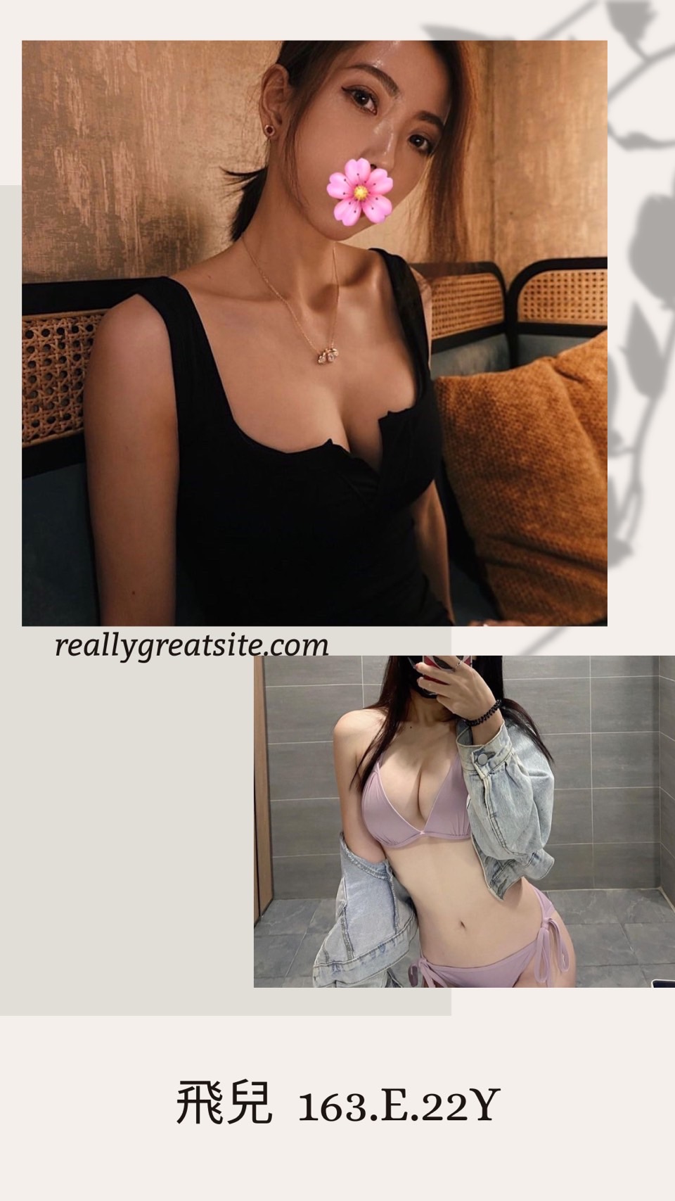 飛兒 台北市 新北市 外送 22 歲 E罩杯 163/45